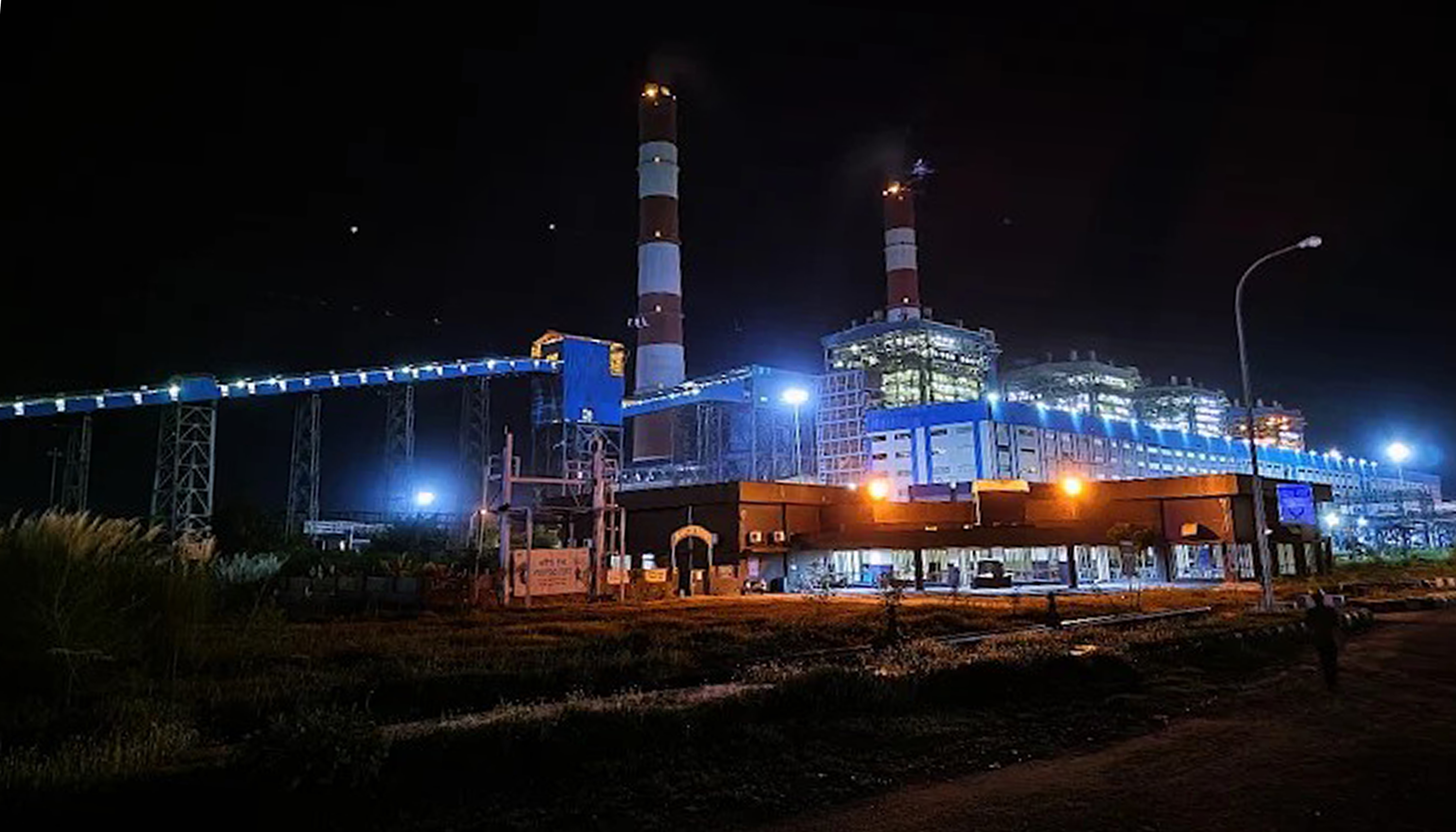 Plant Picture At Night